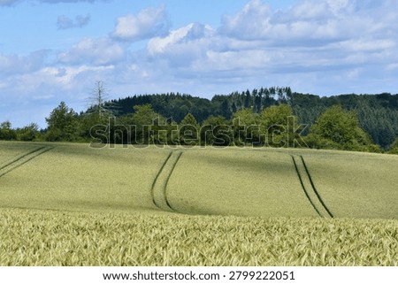 Rolling grain fields stretch toward the forested horizon, where soft shadows and sweeping tractor lines create a tranquil rural landscape beneath a sky filled with drifting clouds.