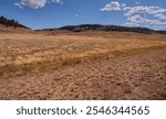 The rolling grassy hills of Pleasant Valley in the Kaibab National Forest just north of Grand Canyon North Rim Arizona.