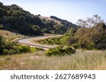 Rolling grassy hills of Rancho San Antonio Open Space Preserve managed by Midpeninsula Regional Open Space (Midpen), with hiking trails and lots of wildlife, open to public for free