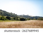 Rolling grassy hills of Rancho San Antonio Open Space Preserve managed by Midpeninsula Regional Open Space (Midpen), with hiking trails and lots of wildlife, open to public for free