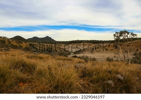 Rolling, grassy plains and hills, in Horton Plains National Park, Central highlands of Sri Lanka. Early morning with frost on grass