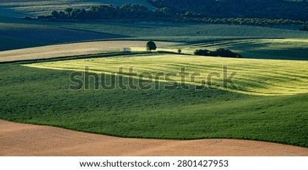 rolling green fields in early summer in Czech Moravia