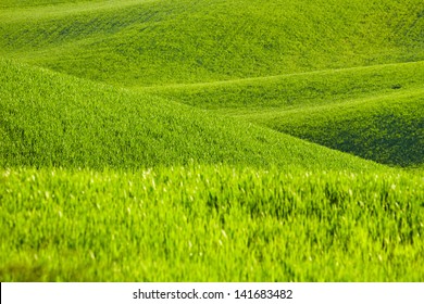 Rolling Green Hills