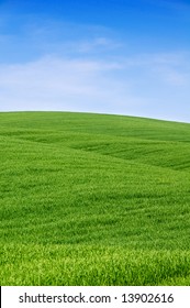 Rolling Green Hills And Blue Sky. Tuscany Landscape, Italy.