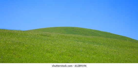 Rolling Green Hills And Blue Sky