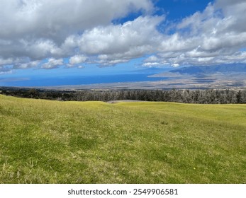 Rolling green hills overlooking a vast coastal landscape with dramatic clouds billowing across a vibrant blue sky, capturing the natural beauty of an elevated viewpoint. - Powered by Shutterstock