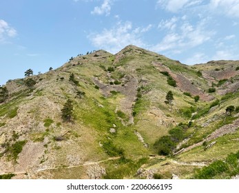 Rolling Green Hills In The West 