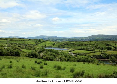 Rolling Green Hills Of Whiddy Island, Bantry West Cork Ireland