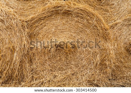 Rolling haystack. Rural scene.