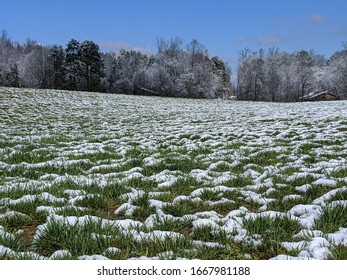 Rolling Hill With Evenly Patchy Snow With A Blue Sky And Winter Treeline