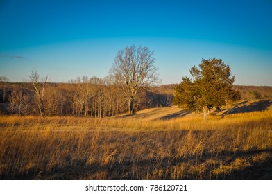 Rolling Hills - Appomattox Court House National Historical Park