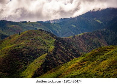 Rolling Hills in the Clouds