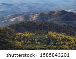 rolling hills in colville national forest autumn with bright yellow western larch pine trees