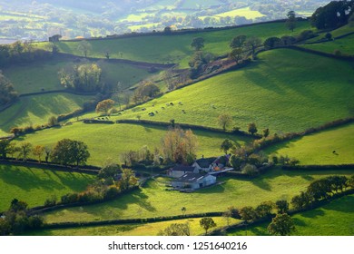 Rolling Hills In East Devon