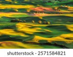 The rolling hills of eastern Washington