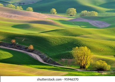 21,518 Rolling hills farmland Images, Stock Photos & Vectors | Shutterstock