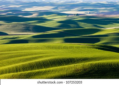 Rolling Hills And Fields