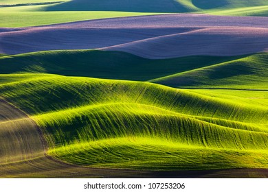 Rolling Hills and Fields