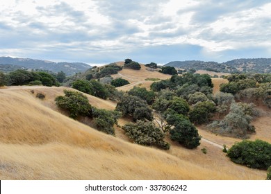 Rolling hills and fields of dry grass with Coastal Live Oak trees in the foothills of central California, the "Golden State".  Five years of drought have led to hazardous fire conditions and risk. - Powered by Shutterstock