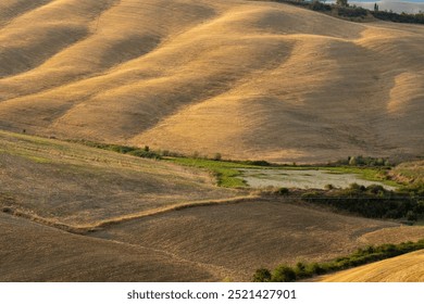 Rolling hills in golden hues under soft sunlight. Minimal greenery in the foreground, Rolling hills with golden fields, mountain range in the background, sparse vegetation - Powered by Shutterstock