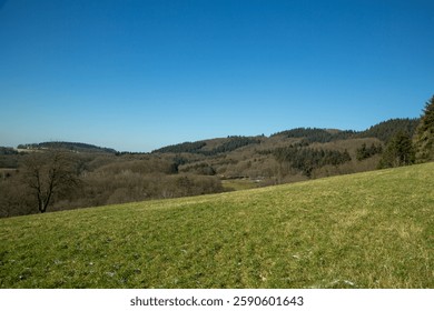 Rolling Hills and Green Fields Under a Clear Sky. A stunning countryside landscape featuring rolling green fields stretching toward distant hills covered in dense forests. The deep blue sky adds