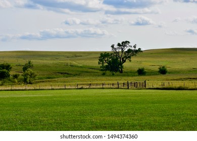 Rolling Hills And Green Grass, Tallgrass Prairie National Park, Kansas