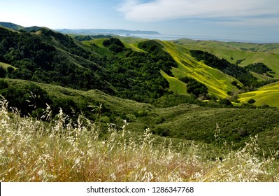 Rolling Hills of Northern California 