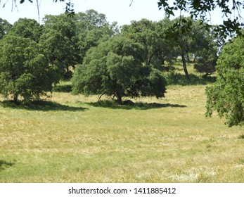 Rolling Hills In Northern California Gold Country