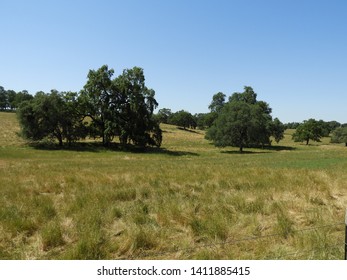 Rolling Hills In Northern California Gold Country