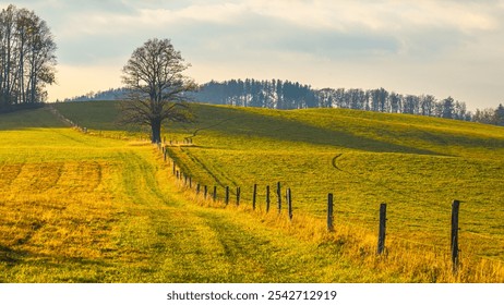 Rolling hills stretch under a soft sky, featuring a solitary tree next to a rustic fence. The warm light highlights the grassy meadow, inviting a sense of tranquility and openness. - Powered by Shutterstock