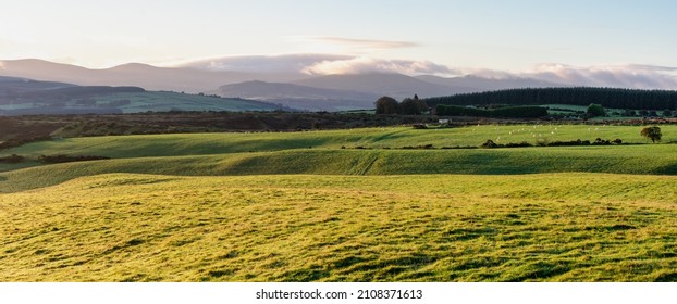 Rolling Hills At Sunrise, Ireland.