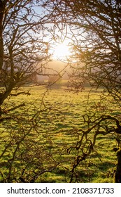 Rolling Hills At Sunrise, Ireland.