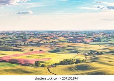 Rolling Hills Taken From Steptoe Butte, WA