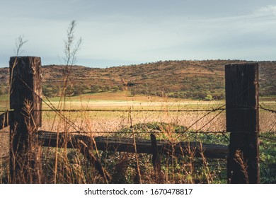 Rolling Hills In Tehama County, CA.