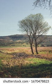 Rolling Hills In Tehama County, CA.