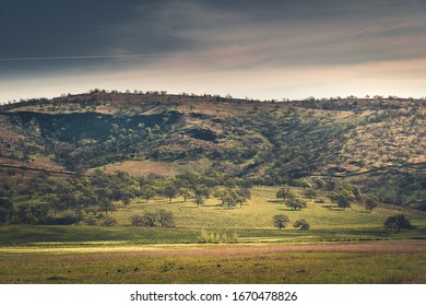 Rolling Hills In Tehama County, CA.