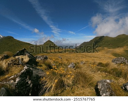 Rolling meadow in the mountains with a jetstream cloud.