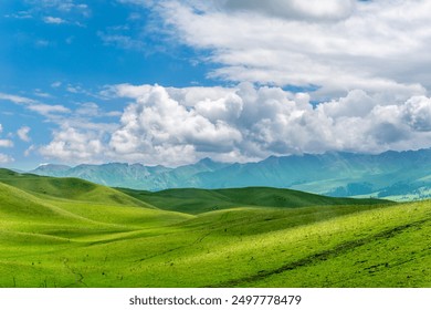 Rolling Meadows under Xinjiang Skies - Powered by Shutterstock