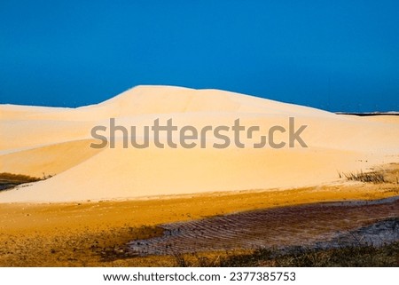 Rolling sand dunes in the Barreirinhas desert, state of Maranhão, northeastern Brazil, South America