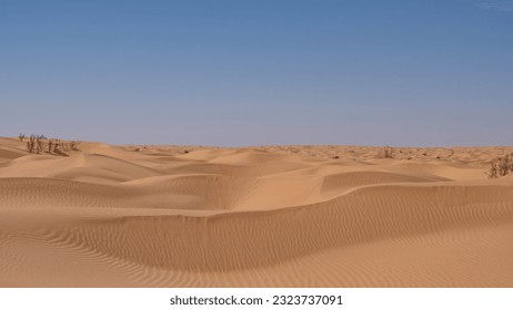 Rolling sand dunes in the Sahara Desert, outside of Douz, Tunisia - Powered by Shutterstock