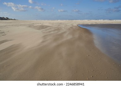Rolling sand on a windy beach