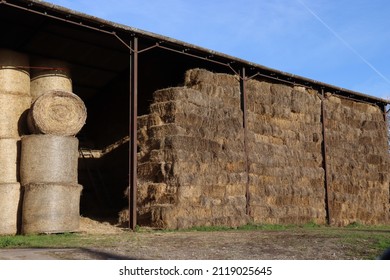 rolls and bales of hay in farmer's barn