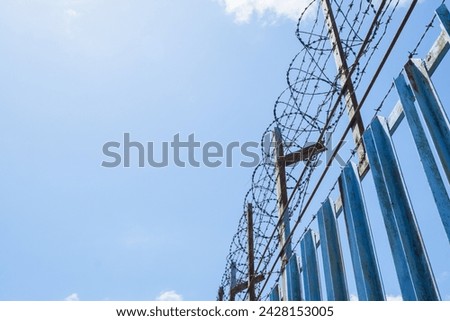 rolls of barbed wire on top of the fence. prison, war and demo illustration concept