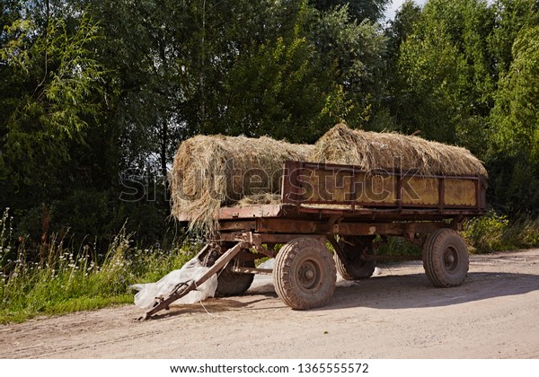 Rolls with hay on a\
cart
