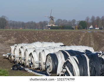 Rolls With Plastic Film For Covering White Asparagus Fields, Begin Of New Asparagus Season On Asparagus Farm In Netherlands, Country Spring Landscape With Traditional Dutch Mill