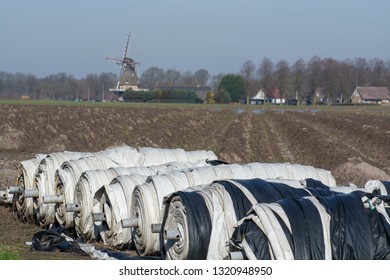 Rolls With Plastic Film For Covering White Asparagus Fields, Begin Of New Asparagus Season On Asparagus Farm In Netherlands, Country Spring Landscape With Traditional Dutch Mill