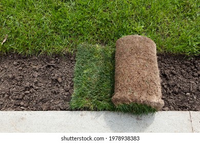 Rolls Of Turf Or Turfgrass, Close-up. Landscaping Of Territory In The Park.