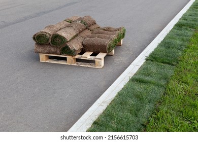 Rolls Of Turf Or Turfgrass On Pallet. Landscaping Of Territory In The Park.