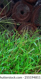 Rolls of wire that rust over time with the growth of grass. The photo shows how plants try to maintain their existence.
