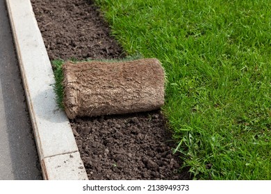 Roll-up Lawn. Landscaping Of Territory In The Park. Roll Of Turf Or Turfgrass, Close-up.